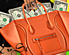 ꕤ Money bag
