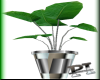 [PI] SilverPotted Plant