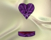 CD purple bleeding heart