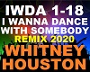 Whitney Houston -I Wanna