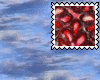 *pomegranate seeds