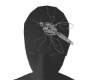 Il mosquito head