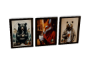 S🪆WALL PICS BEAR  FOX