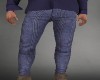 SM Fall blue pants