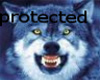 protected by werewolf