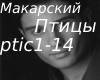 Anton Makarskiy