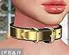 ♛Soul Gold Belt Collar