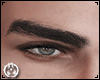 Eyebrows Deriv 3.0