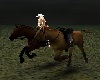Riding Horses at night!