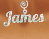 JAMES necklace