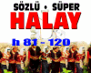 Halay Super Sozlu81-120