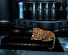 Blue couch/ Tiger