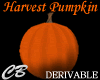 CB Harvest Pumpkin