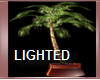 POTTED PALM LIGHTED ANI