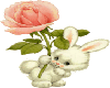 bunny with rose