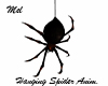 Hanging Spider Anim.