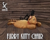 SC Furry Chat Rug for 4