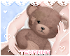 [T] Teddy bear Ragged