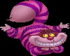Cheshire Cat Back Drop