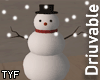 snowman - drv