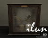 Antique Glass Terrarium