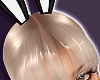 Bunny Ear