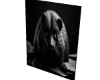 BLCK HMSTR