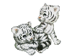two baby white tigers 2