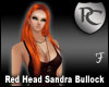 Red Head Sandra Bullock