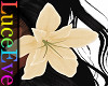V1 Marguerite Flower