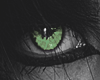 !! Ice Green Eye