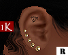 !1K Ear Ink Diamond R