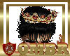 QMBR Dynasty Crown RD
