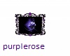heartlove purple pic