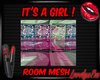 It's a girl ! room mesh