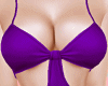 RLL Purple Bikini Set