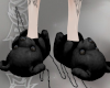 black bear ☆ slippers