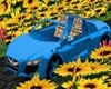 ^ Run Sport Car Blue