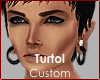 C' Turtol Custom