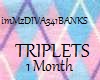 BANKS Triplets 1m Ultra