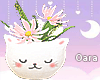 R. Cat Planter - Peach