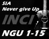 ✘ Sia-Never Give Up