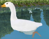 TF* Animated Goose