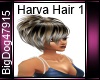 [BD] Harva Hair 1