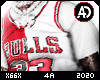33 Chicago Bulls Tee