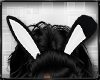 Bunny Doll Ears Animated