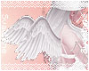 Angel Wings |White