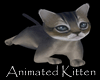 Animated kitten