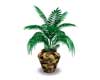 POTTED PLANT 8