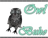 Owl (Buho)